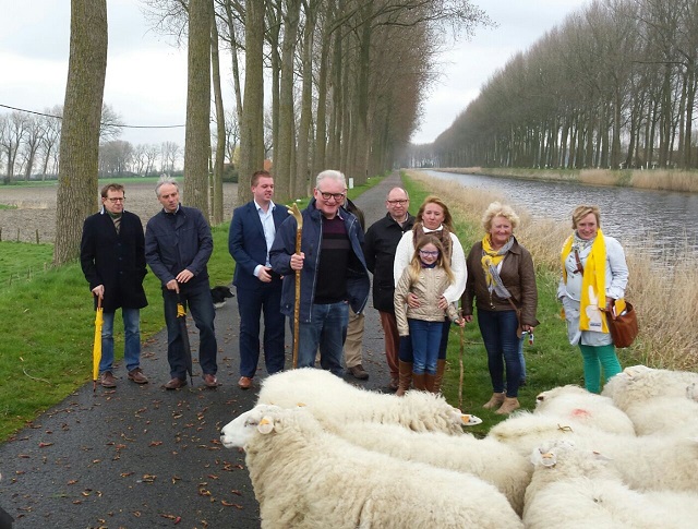 Schapen Damme