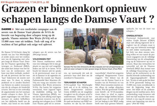 Actie schapen