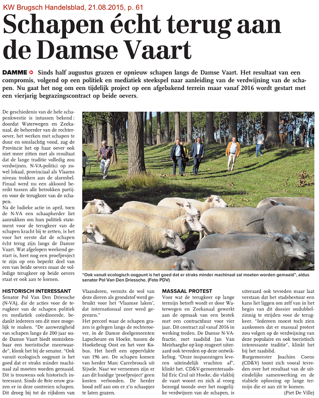 Schapen Damme