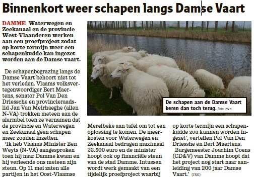 Schapen Damse Vaart