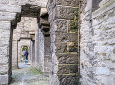 Eén op de vijf West-Vlaamse kerken lijdt schade door duivenuitwerpselen