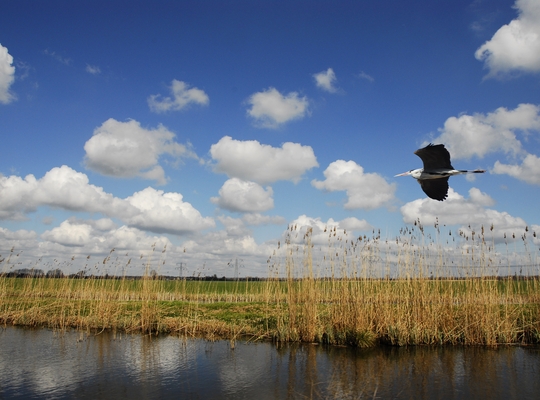 Duurzaam toerisme in West-Vlaanderen