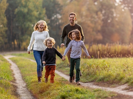 West-Vlaams provinciedomein