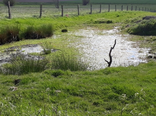 Poel in Vleteren vooraleer deze werd gedempt
