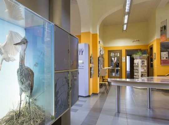 Bezoekerscentrum De Blankaart Diksmuide