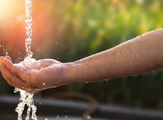 Waterbuffer in provinciedomein Egem?
