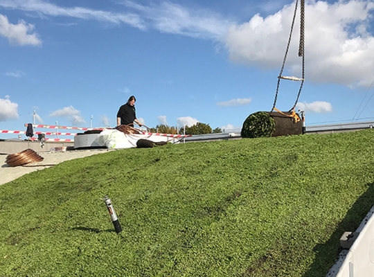 Groendak provincie West-Vlaanderen