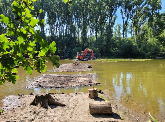 Waterhuishouding 't Veld