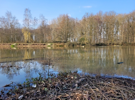Provinciedomein 't Veld in Ardooie