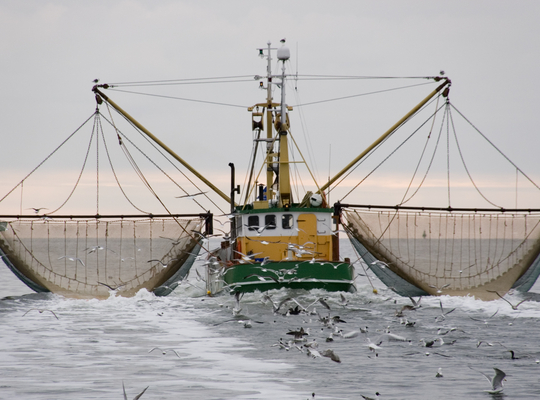 Visserij West-Vlaanderen