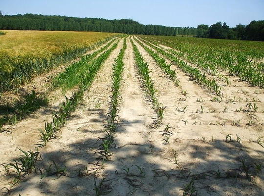 Water droogte